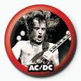  AC/DC Angus -  Pine 